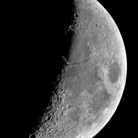 夕月 2023年11月19日