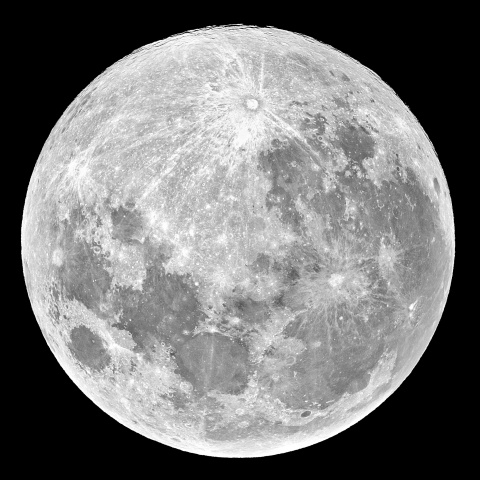 十五夜 2024年1月25日