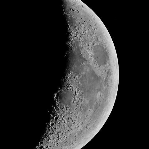 夕月 2024年3月15日