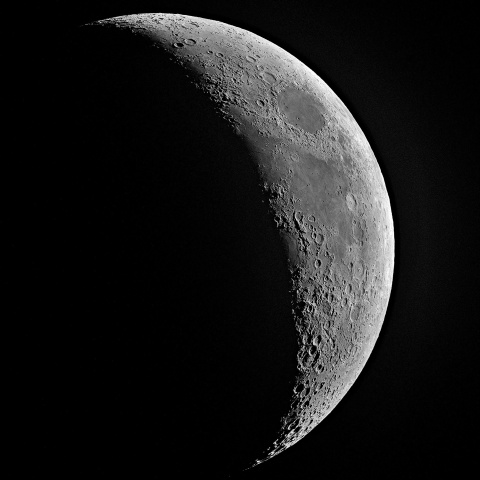 夕月 2024年6月11日