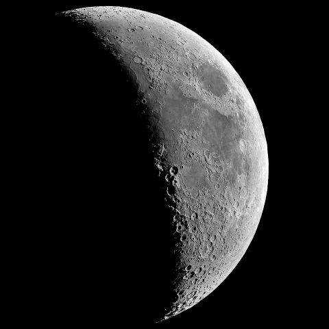 夕月 2024年6月12日