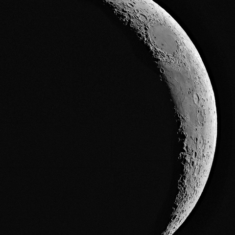 夕月 2024年8月8日