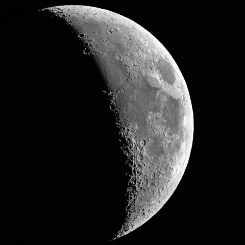 夕月 2024年9月9日