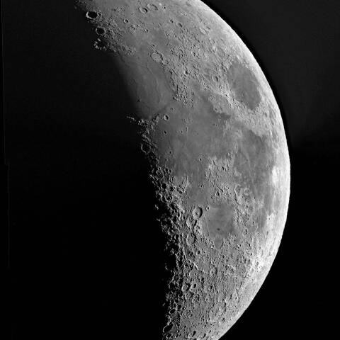 夕月 2024年9月9日