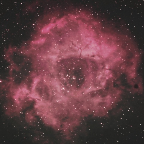 ばら星雲 2024年12月12日