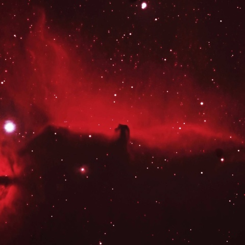 馬頭星雲 2024年12月24日