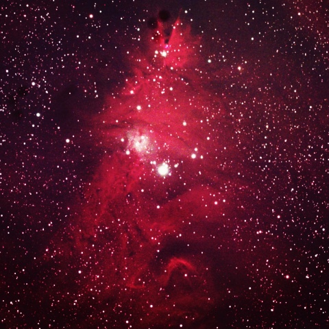 クリスマスツリー星団 2025年1月1日