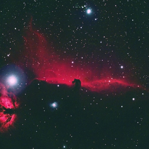 馬頭星雲 2024年12月28日