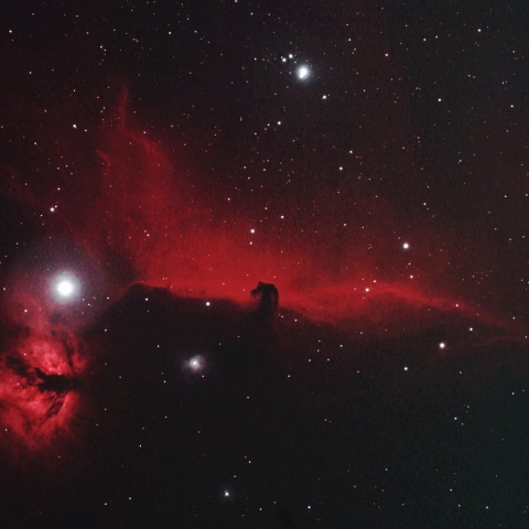 馬頭星雲 2024年12月28日