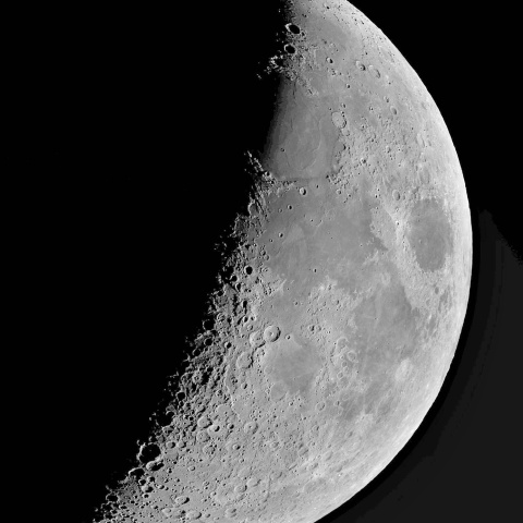 夕月 2025年2月4日