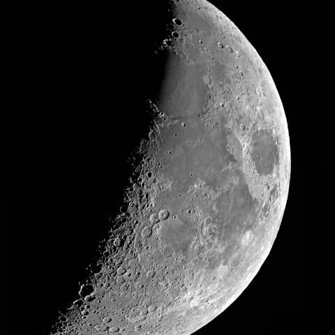 夕月 2025年2月4日