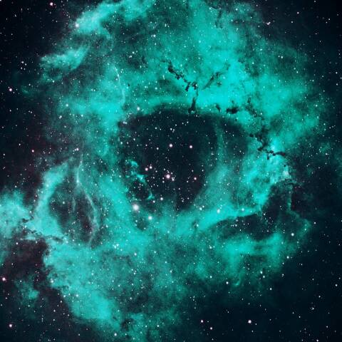 ばら星雲 2025年2月9日