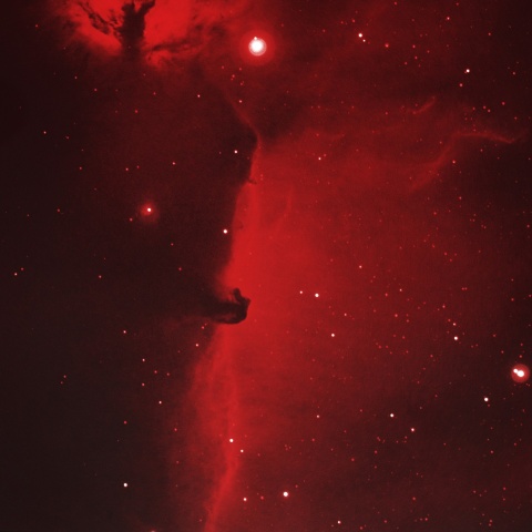 馬頭星雲 (HOO) 2025年2月13日