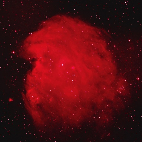 モンキー星雲 (HOO) 2025年2月14日
