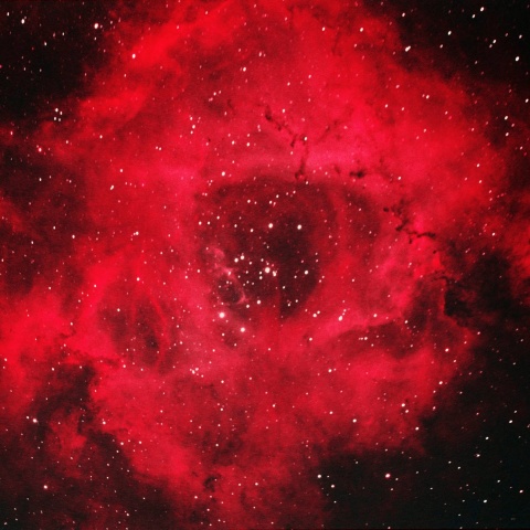 ばら星雲（HOO）2025年2月19日