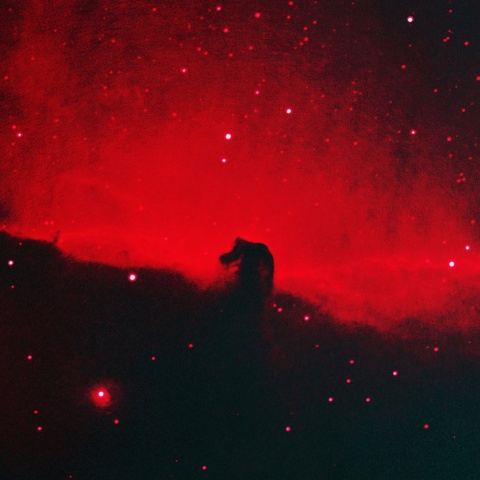 馬頭星雲 (HOO) 2025年2月13日