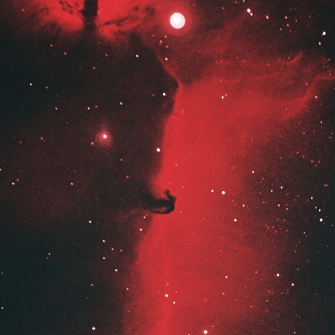 馬頭星雲 2025年2月24日