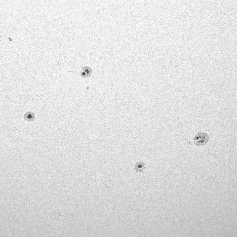 太陽黒点 2025年7月28日