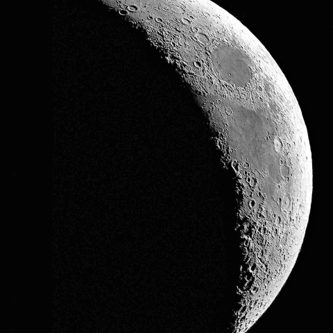 夕月 2025年7月29日