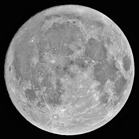 九夜月 2025年8月8日