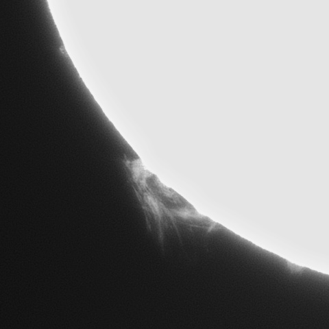 プロミネンス 2025年8月19日