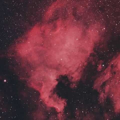 北アメリカ星雲 2025年8月19日