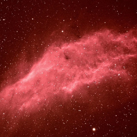 カリフォルニア星雲 2025年11月15日