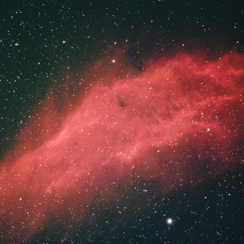 カリフォルニア星雲 2025年11月20日