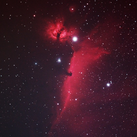 馬頭星雲 2025年12月15日