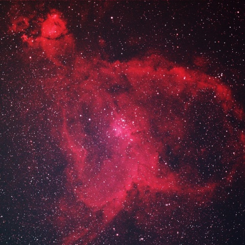 馬頭星雲 2025年12月16日