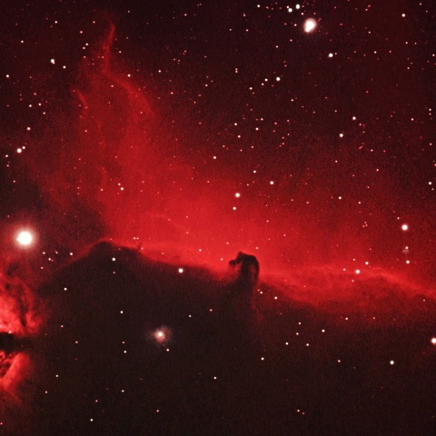 馬頭星雲 2025年12月26日