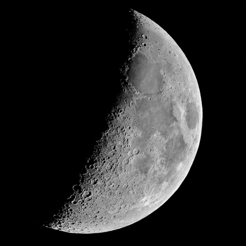 夕月 2026年1月25日