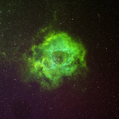 ばら星雲（SAO合成）2026‎年1月31‎日