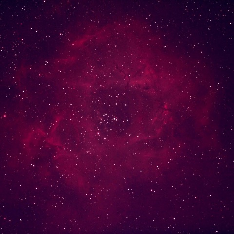 ばら星雲 2019年1月10日