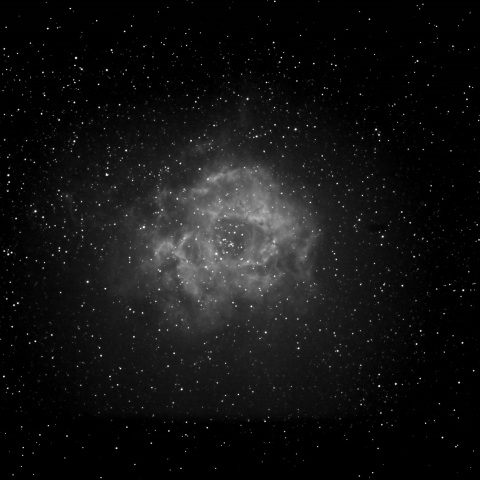 ばら星雲 2019年1月11日