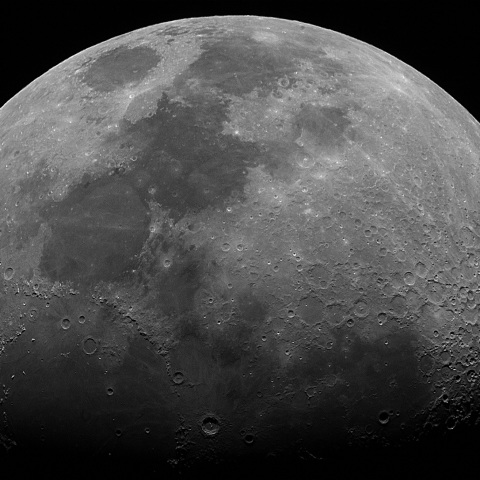 月 2019年2月14日