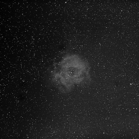 ばら星雲 2019年1月18日