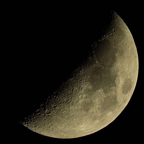 月 2019年5月11日