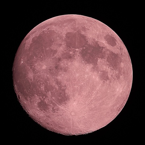 月齢12.8 2019年4月18日