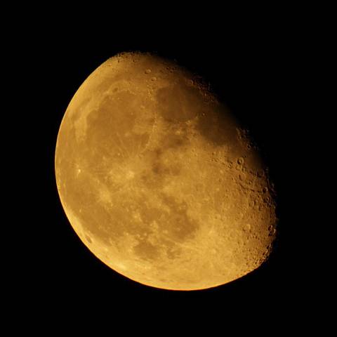 月齢18.2 2019年5月23日