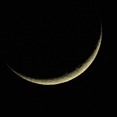 月齢2.5 2019年3月9日