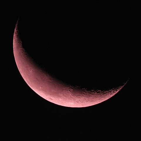 月齢26.2 2019年3月2日