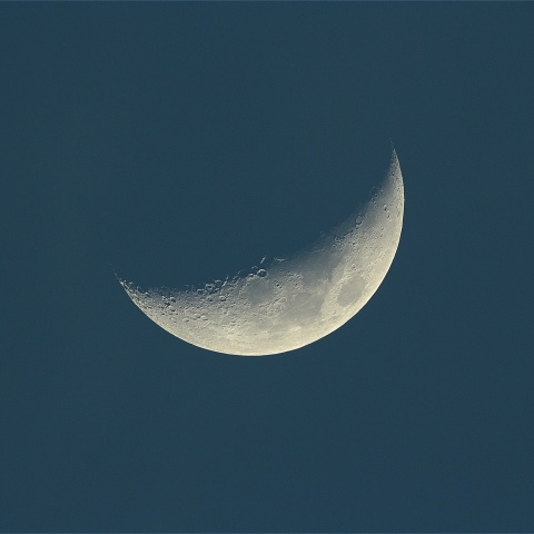 月齢4.7 2019年6月8日