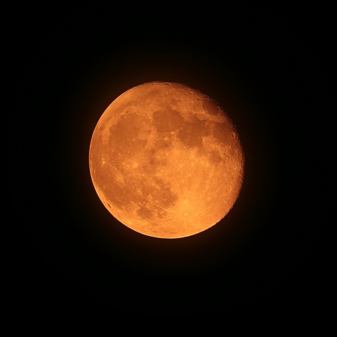 月齢15.7 2019年6月19日