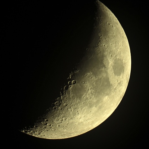 月齢5 2019年8月6日