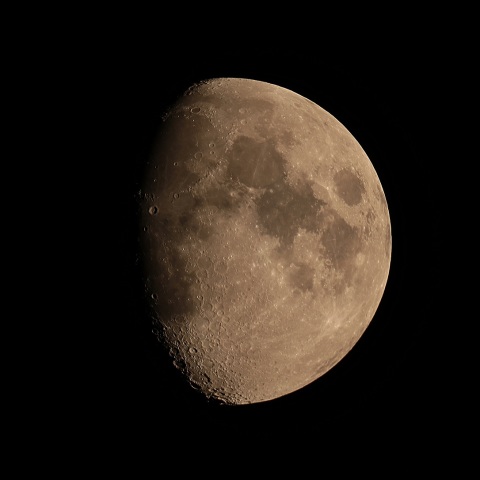 月齢9 2019年8月10日