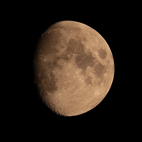 月齢10 2019年8月11日