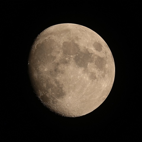 月齢11 2019年8月12日