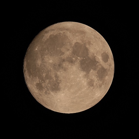 月齢13 2019年8月14日