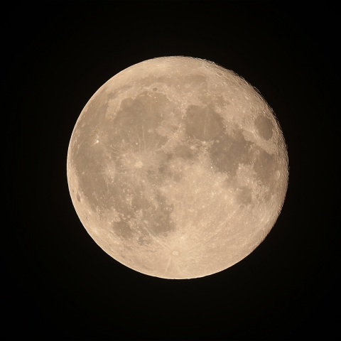 月齢15 2019年8月16日